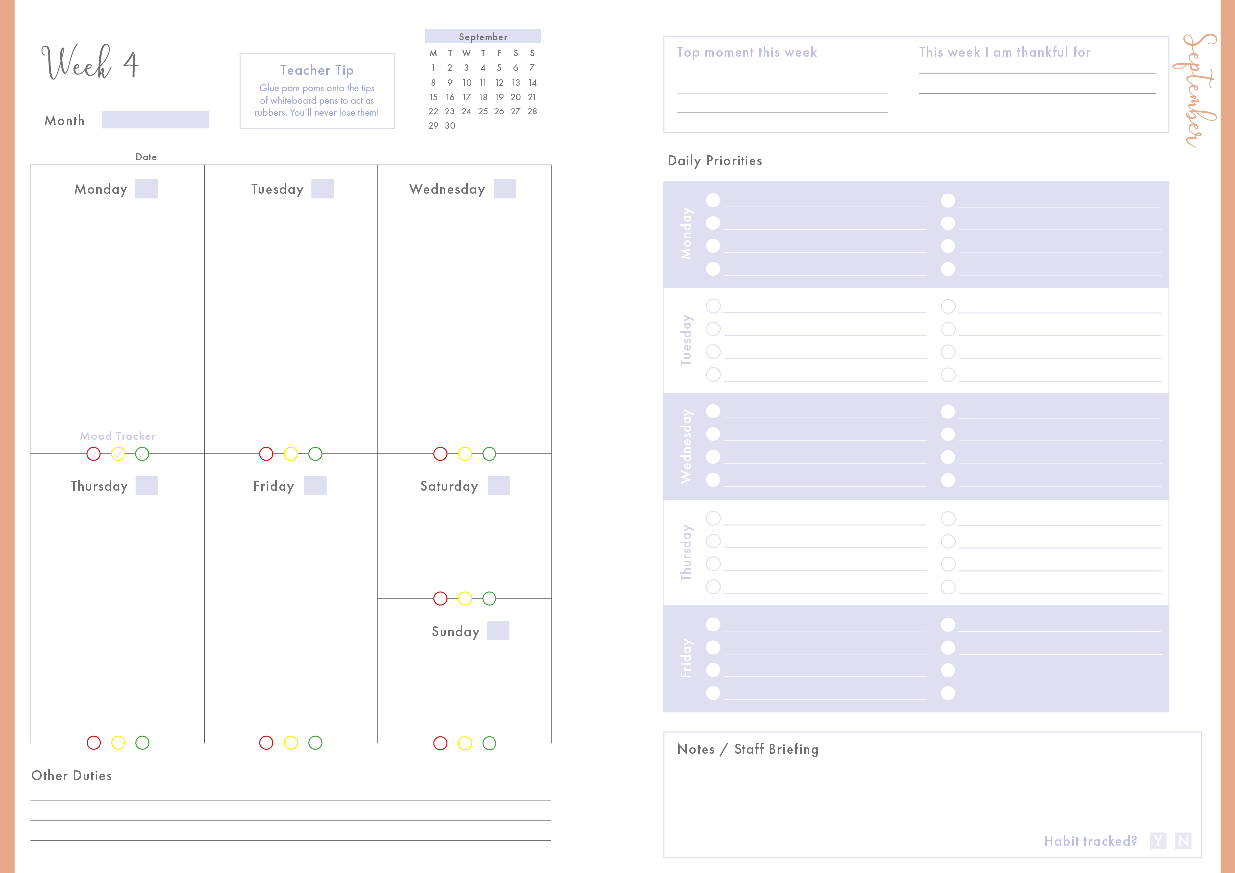 Plum Tide - Book Teacher Planbook