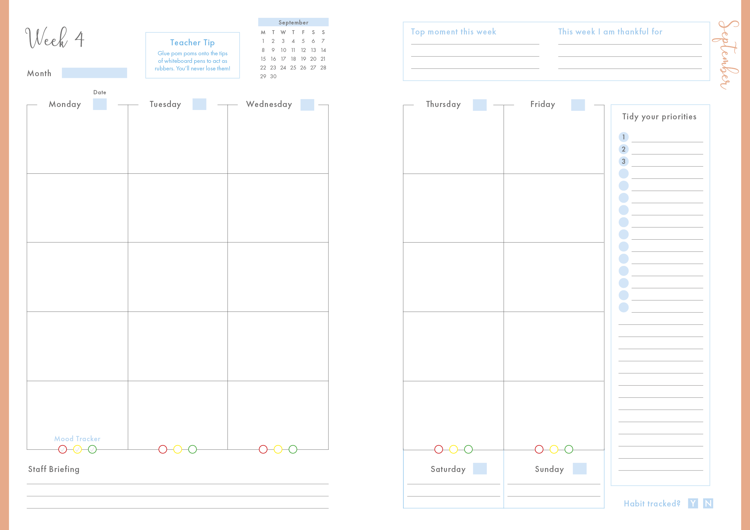 Rainbow Plume - Spiral Teacher Planner