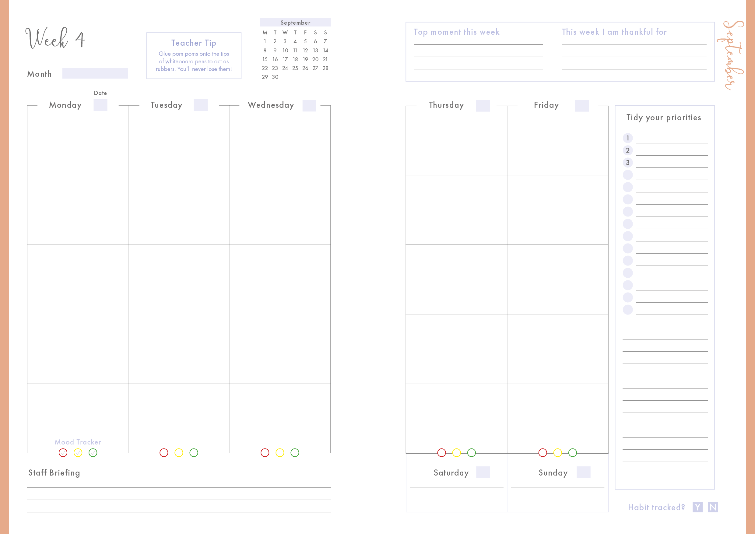 Plum Tide - Spiral Teacher Planner